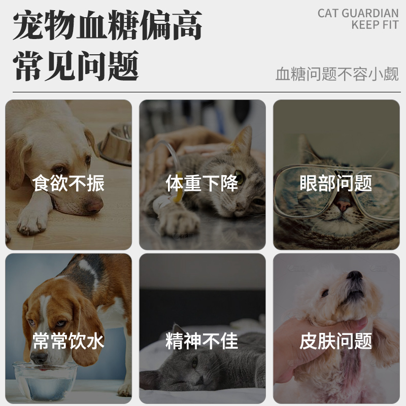 亲宠宠物血糖猫狗鼠兔测试仪家用精准糖尿病测血糖仪动物试纸针棉 - 图2