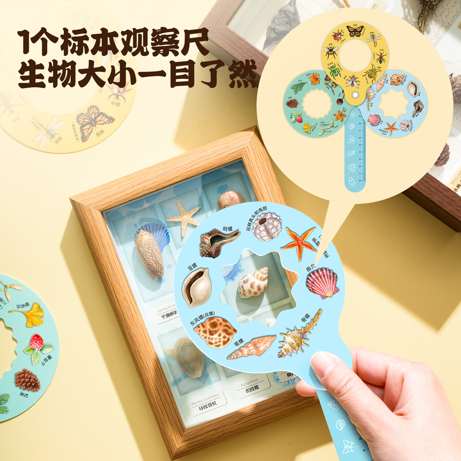 科答鸭儿童蝴蝶标本制作摆件真实教学创意装饰多种植物diy标本相框材料包幼儿手工礼物,淘宝优惠券,粉丝福利购,淘宝优惠卷