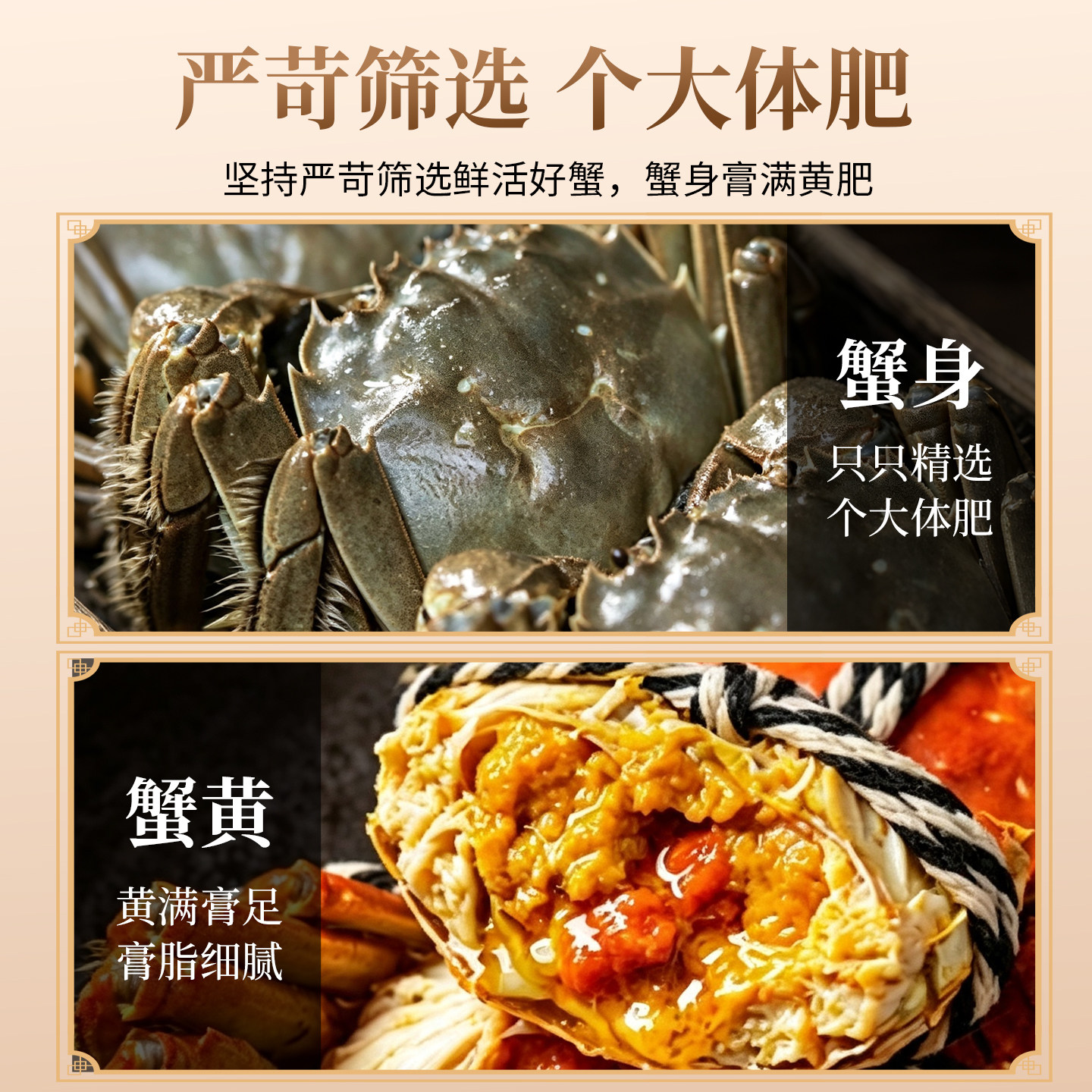 素材图