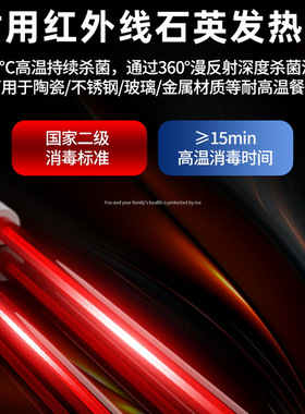 德国免沥水消毒柜双门立式不锈钢