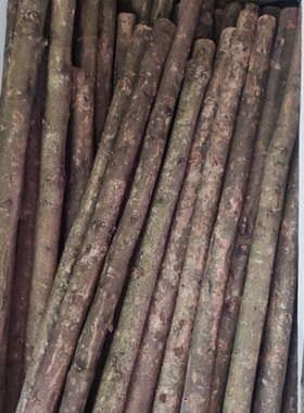 天然金丝楠装饰树杆白桦树干楠木原木干花枯树枝婚庆橱窗隔断造景
