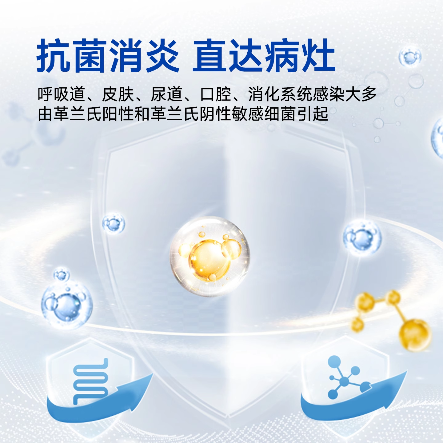 修正新关爱阿莫西林克拉维酸钾片宠物抗菌消炎药狗狗猫咪感冒药,淘宝优惠券,粉丝福利购,淘宝优惠卷