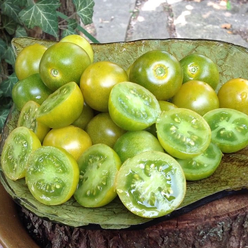 【官网高分】进口好吃绿博士零食樱桃番茄磨砂质感皮薄多汁种子籽-图1