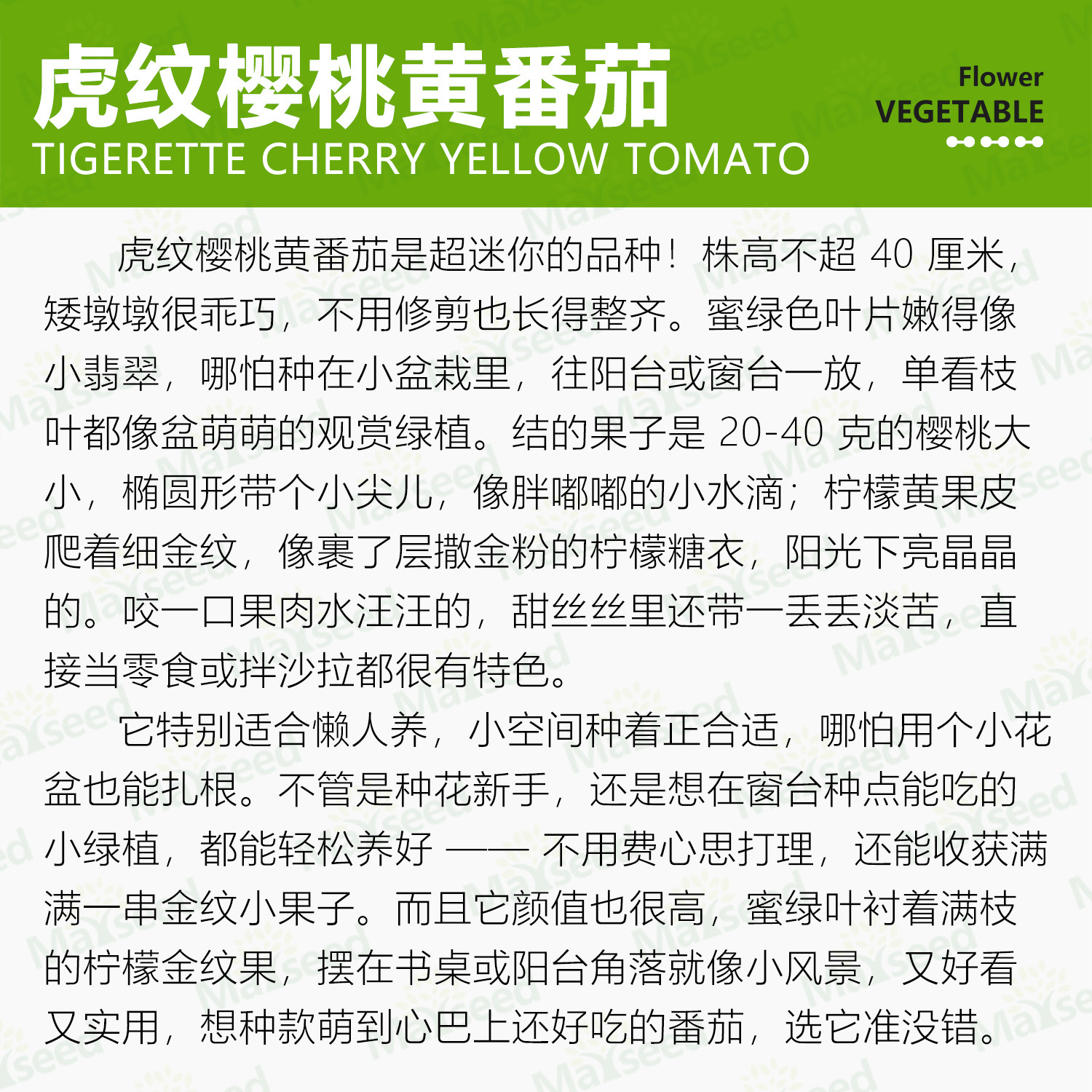 虎纹樱桃黄番茄种子种苗矮生盆栽金纹迷你果清甜微苦观赏蔬菜C012,淘宝优惠券,粉丝福利购,淘宝优惠卷