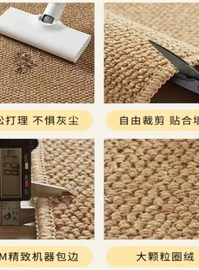 地毯客厅免打理免洗可擦沙发卧室床边飘窗猫抓板入户地垫拍照亚麻