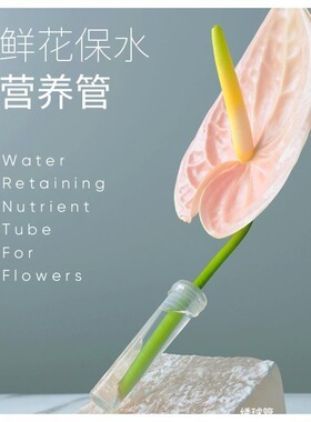 鲜花保水管蝴蝶兰储水保鲜洋兰管单支花束塑料保鲜营养管花艺材料