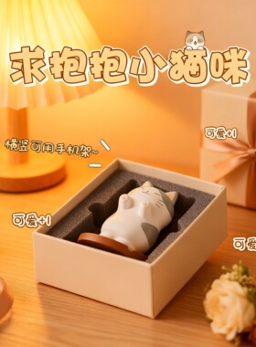 求抱抱小猫咪公仔摆件礼盒装