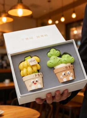 创意卡通多肉治愈系桌面摆件