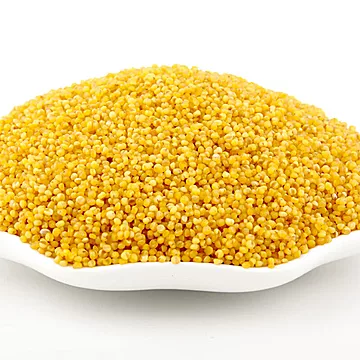 山西有机黄小米900g[10元优惠券]-寻折猪