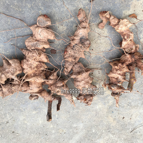 金刚藤头500g农家现挖新鲜菝葜铁菱角泡酒原料冷饭头铁刺苓金刚根 - 图1