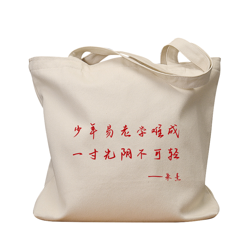 少年易老学难成帆布袋女包手提袋环保购物大容量袋男上班通勤定制 - 图3