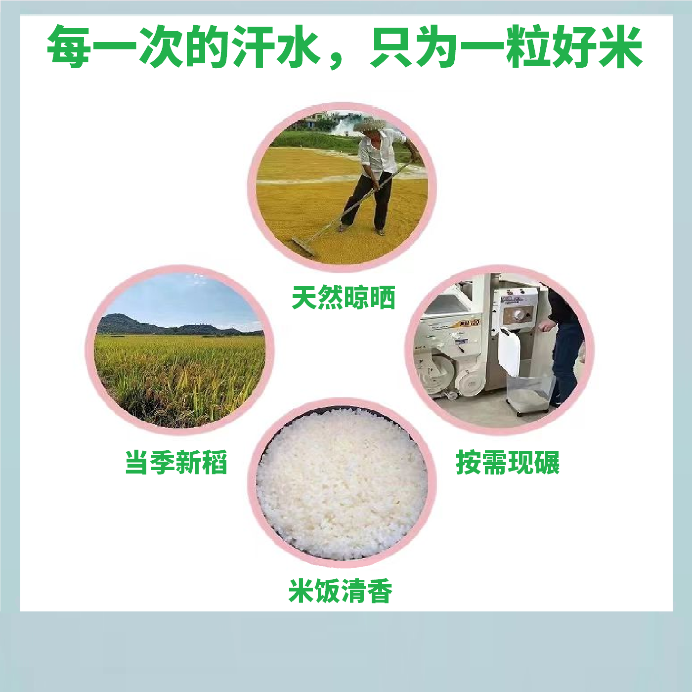 适合扬州蛋炒饭专用大米5不粘不糯餐饮商用无粘性23长粒新籼米业 - 图2