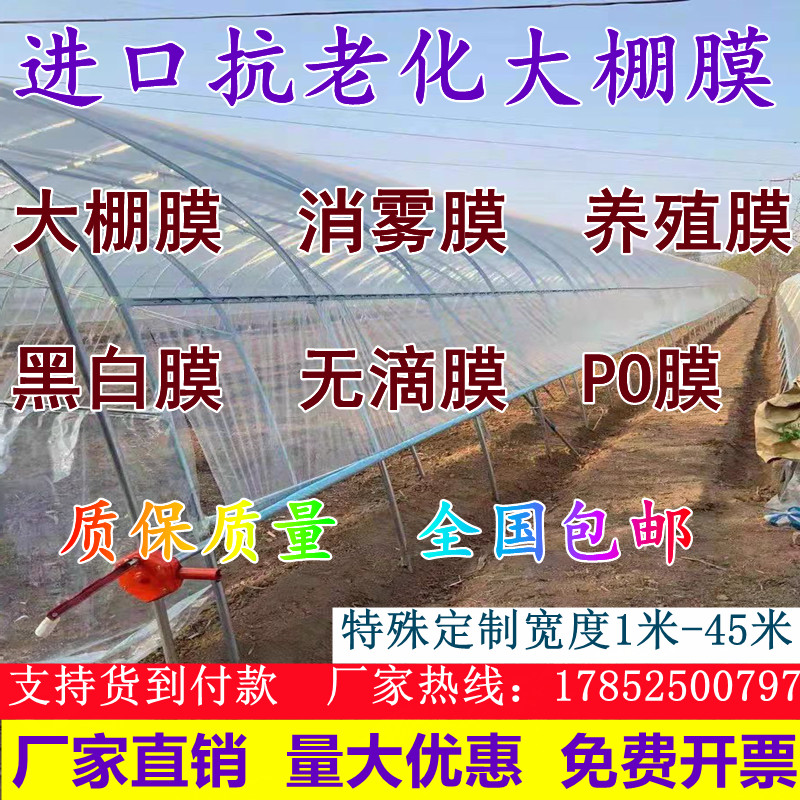 加厚抗老化全新料长寿大棚膜无滴膜高透光PO膜养殖黑白膜塑料布
