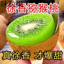 Xu Shanqi Exotic Fruits Week to Green Heart Exotic Fruits are Exotic Fruits Super Sweet Fruits season Childrens Fruit Fresh