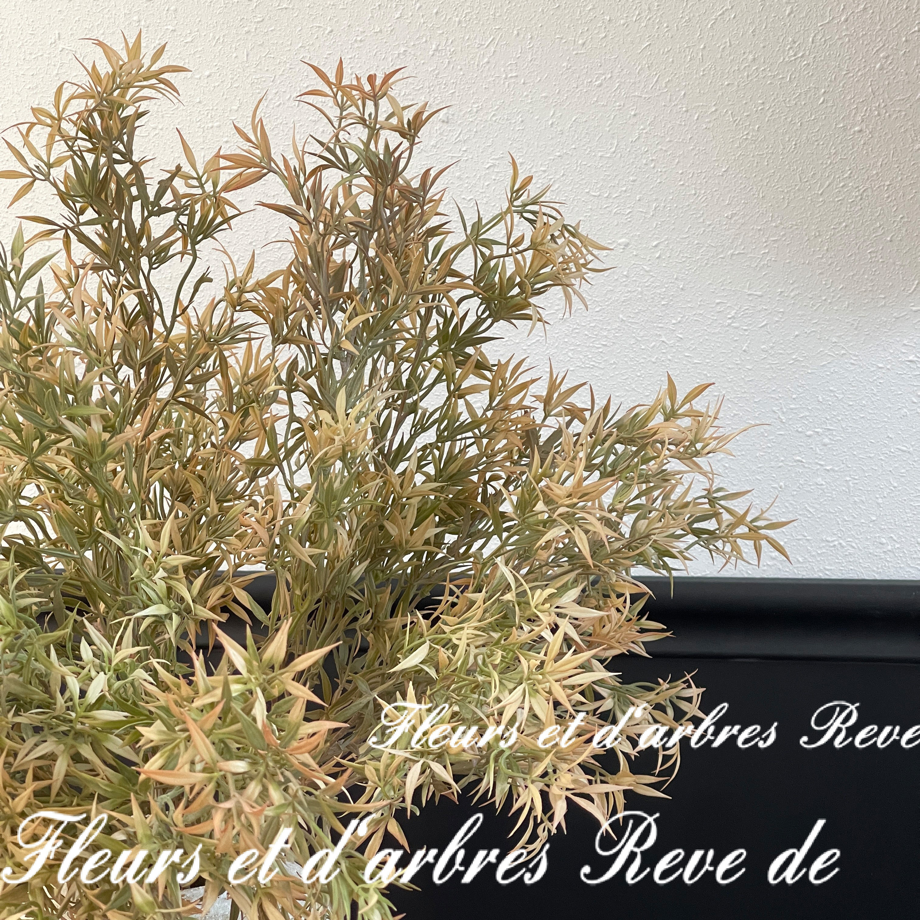 仿真植物墙绿植背景墙插花装饰叶子人造假树枝造景风信子花瓶套装,淘宝优惠券,粉丝福利购,淘宝优惠卷