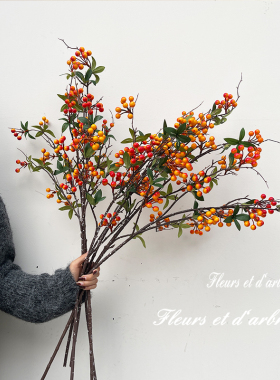 春节年宵花冬青发财果单枝