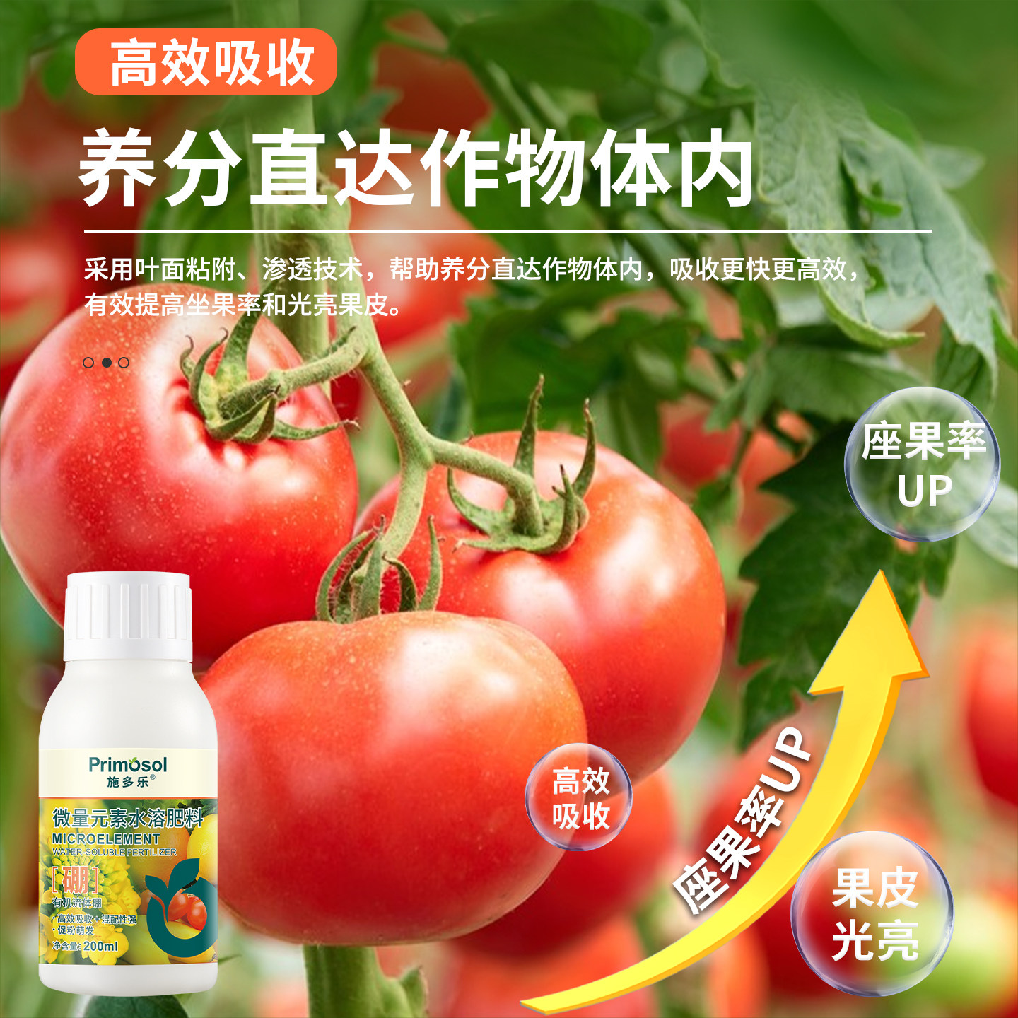 施多乐有机流体硼肥瓜果蔬菜促授粉液体硼保花保果微量元素水溶肥,淘宝优惠券,粉丝福利购,淘宝优惠卷