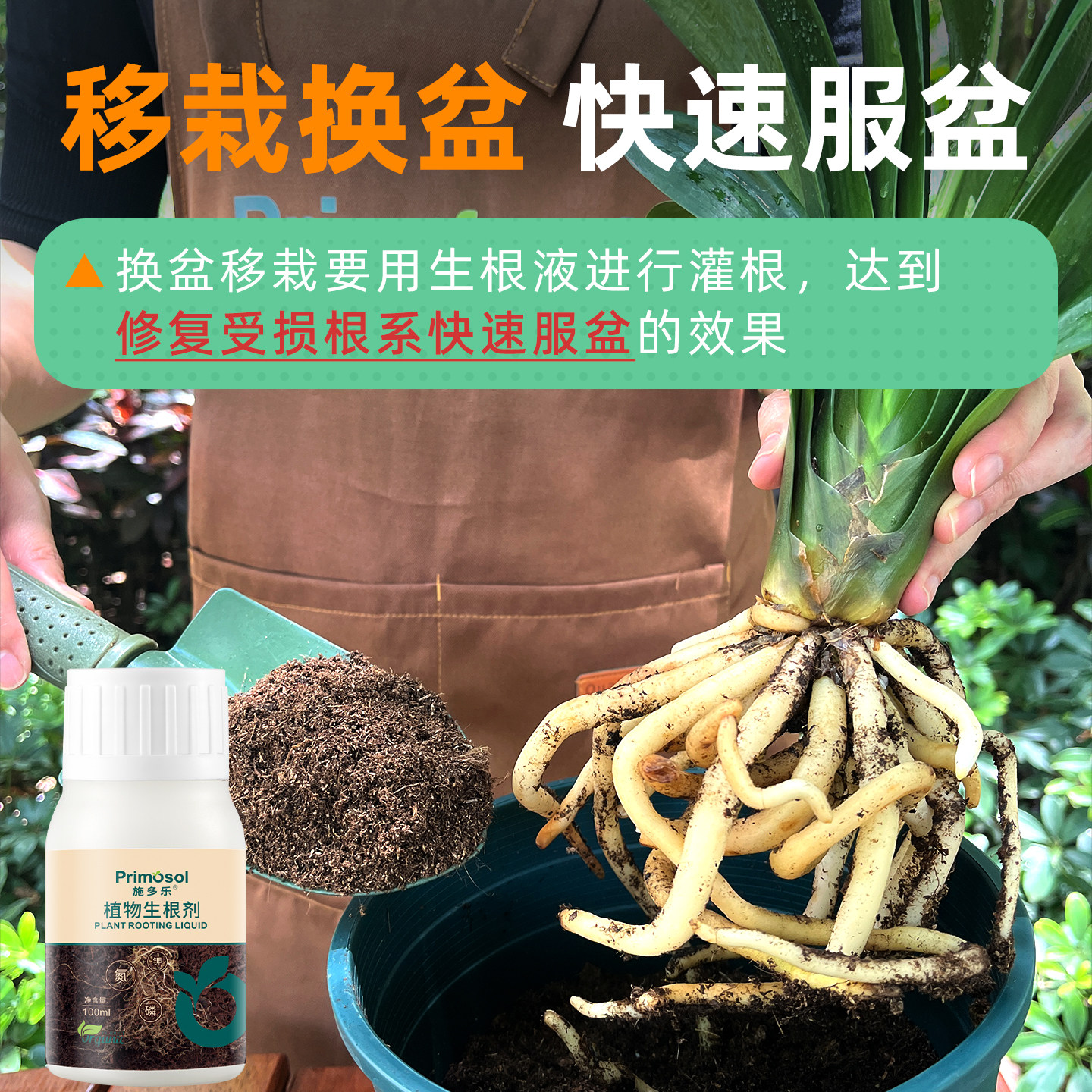 施多乐植物通用快速生根剂壮苗生根粉多肉月季水培扦插移栽生根水,淘宝优惠券,粉丝福利购,淘宝优惠卷
