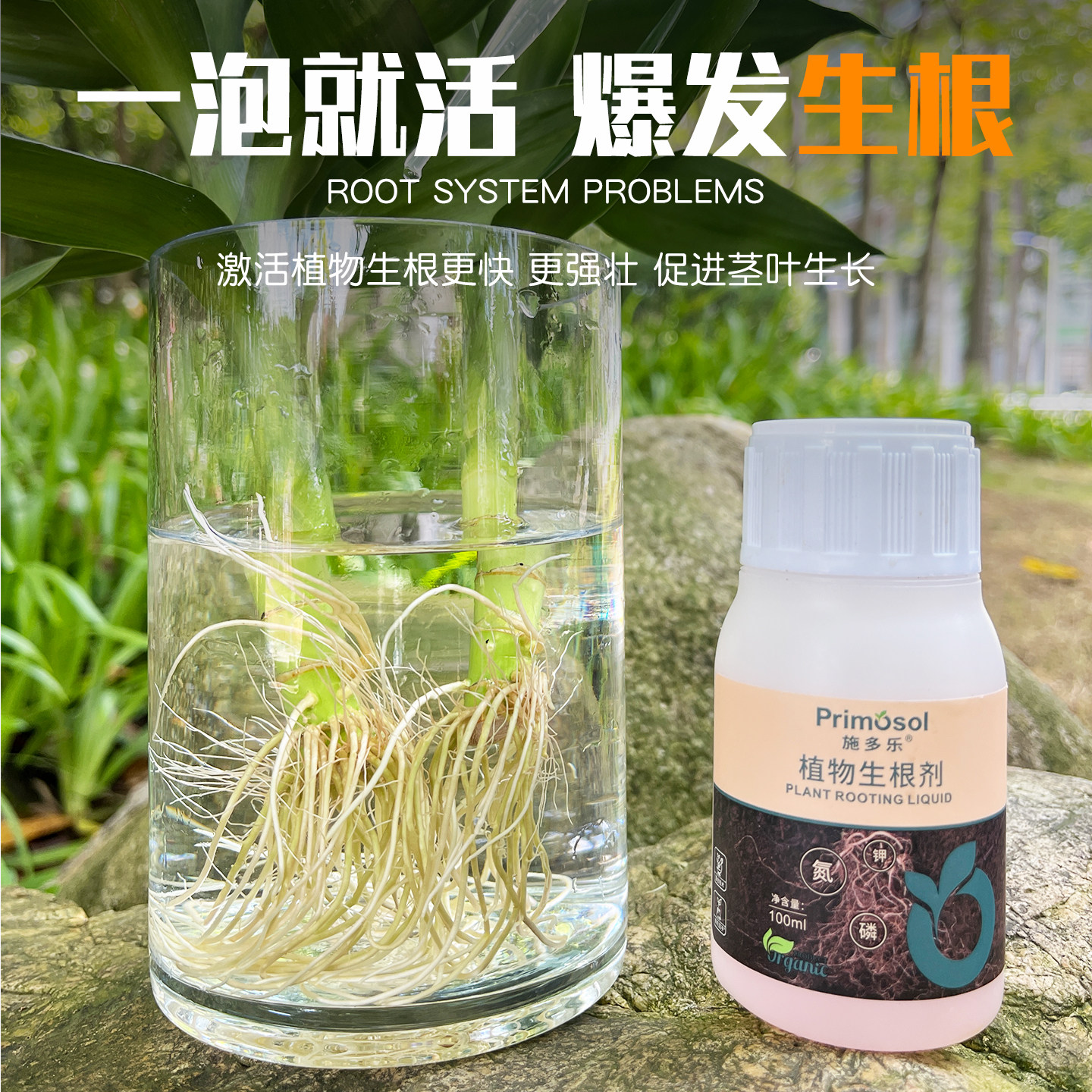 施多乐植物通用快速生根剂壮苗生根粉多肉月季水培扦插移栽生根水,淘宝优惠券,粉丝福利购,淘宝优惠卷