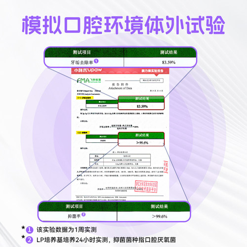 小胖爪齿博士酶力洁齿棒宠物狗零食磨牙棒小型犬幼犬零食清新口气 - 图2