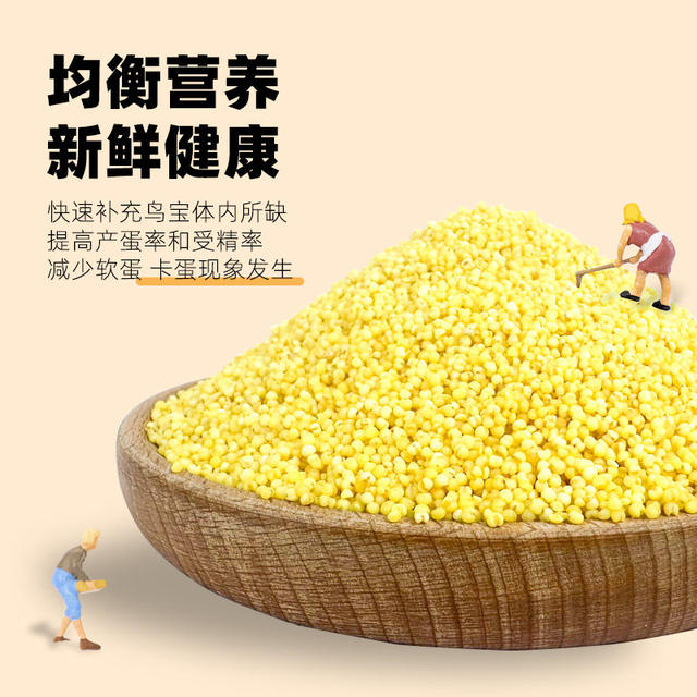 Yangma ແນະນໍາໃຫ້: ຊື້ 500g ແລະໄດ້ຮັບ millet ໄຂ່ 500g ຟຣີ