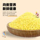 Yangma ແນະນໍາໃຫ້: ຊື້ 500g ແລະໄດ້ຮັບ millet ໄຂ່ 500g ຟຣີ