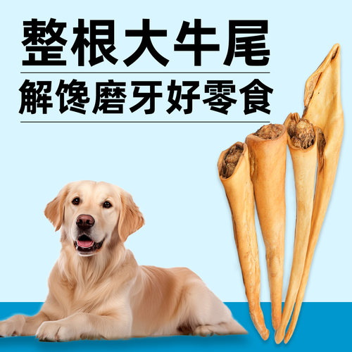 狗狗零食风干牛尾巴牛皮磨牙解馋耐啃耐咬牛骨牛肉磨牙棒训犬奖励 - 图0