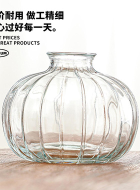 Lunabay不规则简约水养插花花瓶