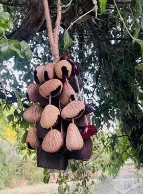 果壳风铃水铃铜花豆蔻鸭血藤手编diy材料果壳铃铛手工制作装饰DIY