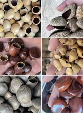 天然果壳手摇铃diy原料印尼黑果
