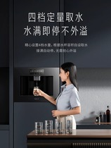 Embedded straight water dispenser i.e. hot water purifier Home Kitchen RO Filter Line Net Drinking 1716