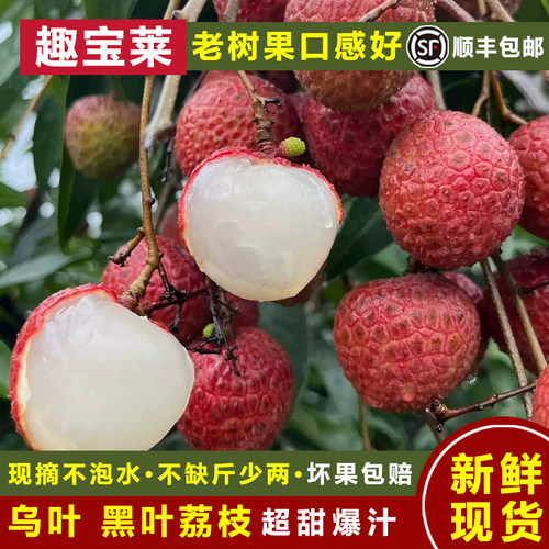 广东茂名乌叶黑叶荔枝新鲜当季孕妇水果送礼10斤15斤现摘现发包邮-图1