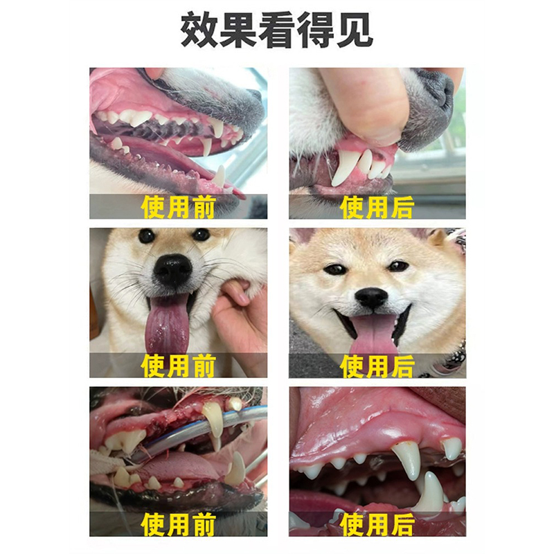 狗狗颜面瘘猫犬牙龈口臭面部肿胀流脓口鼻瘘牙结石溶解牙石速效 - 图1