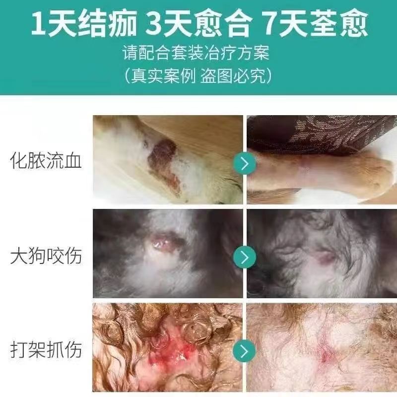 狗狗伤口愈合药去腐生肌宠物猫咪化脓溃烂消炎包扎防感染外伤药膏-图2