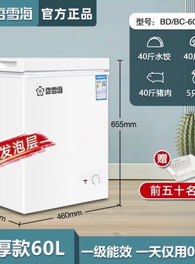 香雪海小冷柜家用冰柜冷藏冷冻大量节能保鲜两用小型冰箱容