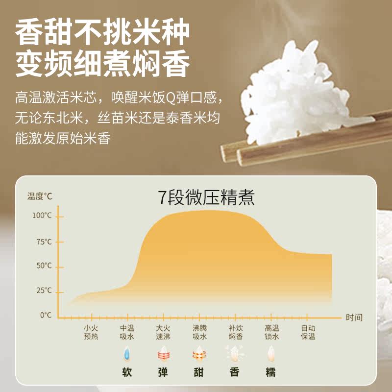  gebony电器电压力锅