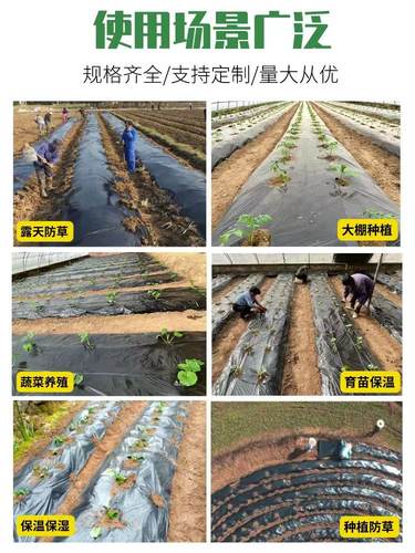 黑色加厚抗老化黑地膜农业果园果树草莓专用地膜塑料薄膜进口耐用-图0