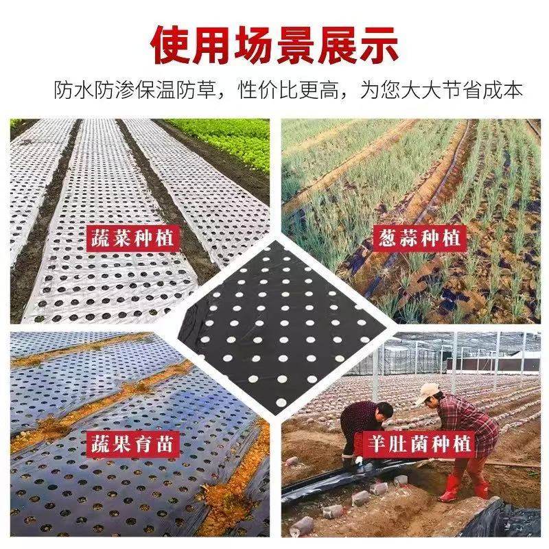 农用打孔银黑膜银灰双色地膜种菜专用农膜加厚银黑膜农用蔬果增色,淘宝优惠券,粉丝福利购,淘宝优惠卷