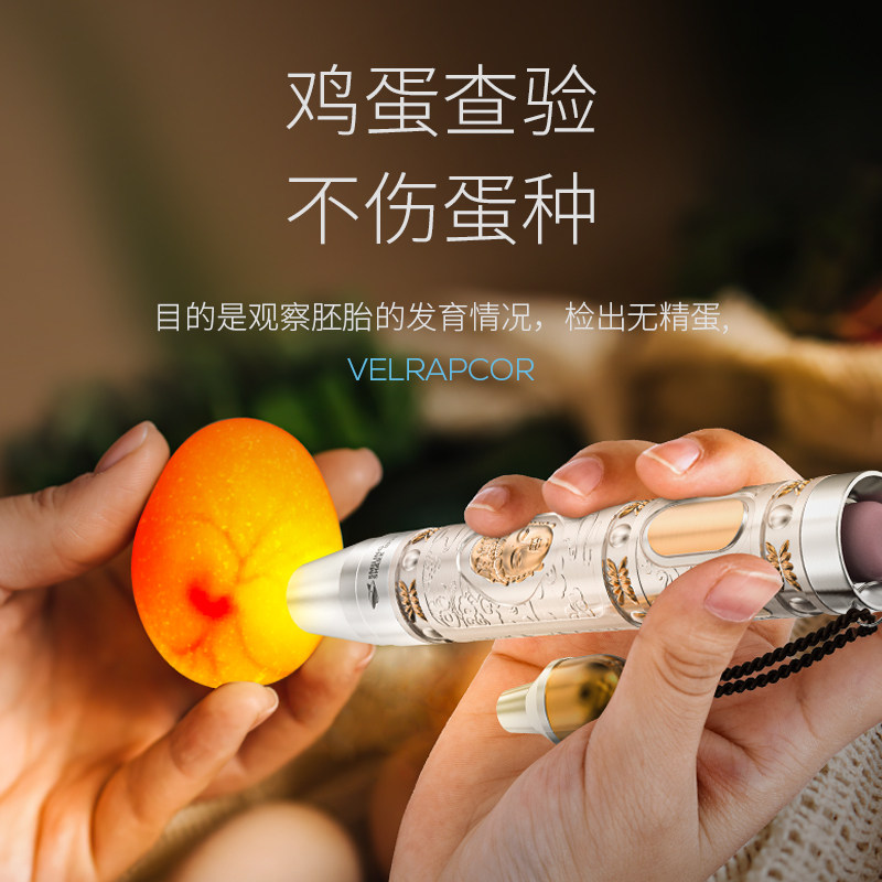  smilingshark进英手电筒
