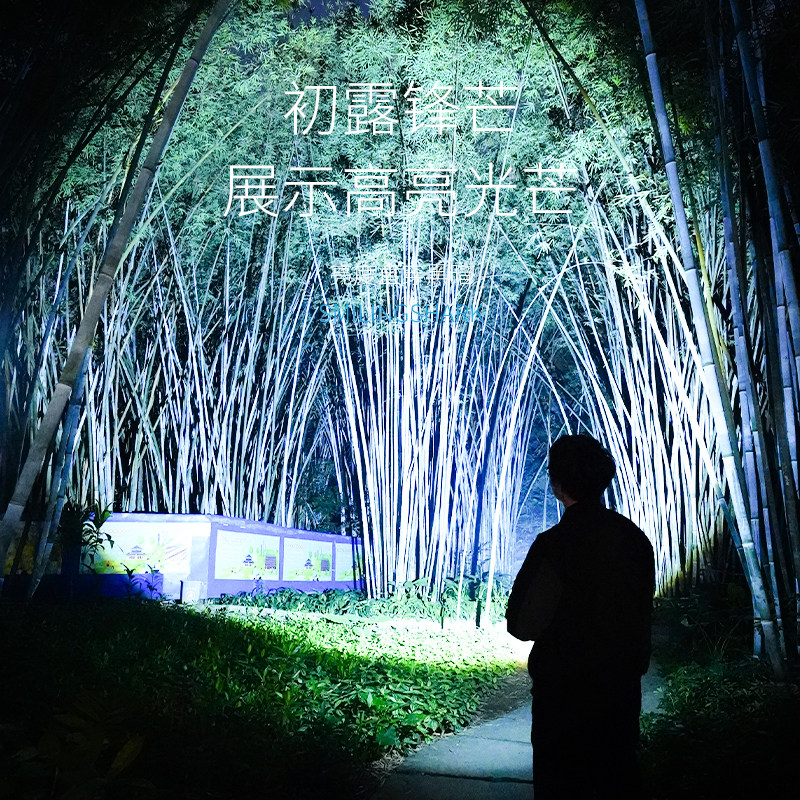  smilingshark进英手电筒