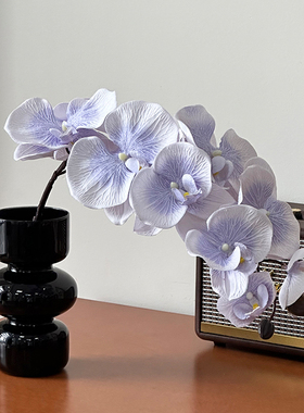 蝴蝶兰仿真花高品质手感假花插花样板间客厅花瓶装饰摆件
