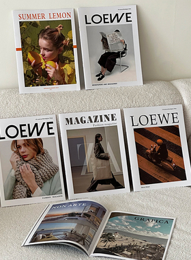 现代简约轻奢高级感客厅酒柜装饰摆件轻奢高档书房样板房间小众