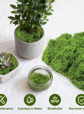 仿真苔藓造景假青苔丝毛线草皮绿植微景观植物装饰人造绒毛丝苔藓