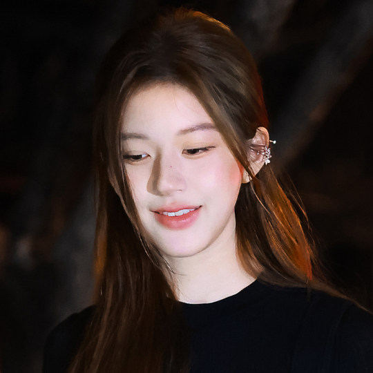 Metal flower ear clip women's pierced ear bone clip earrings