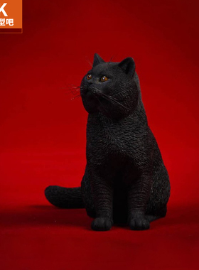 JXK仿真英短黑猫摆件英国短毛猫