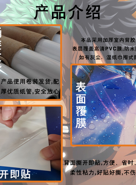 海贼王报墙贴纸画超大路飞
