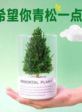 放青松办公室客厅桌面摆件工位治愈植物情绪稳定神器小众节日礼物