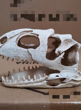 鱼缸水族箱造景装饰摆件造景恐龙树脂头骨爬虫躲避水族馆装饰