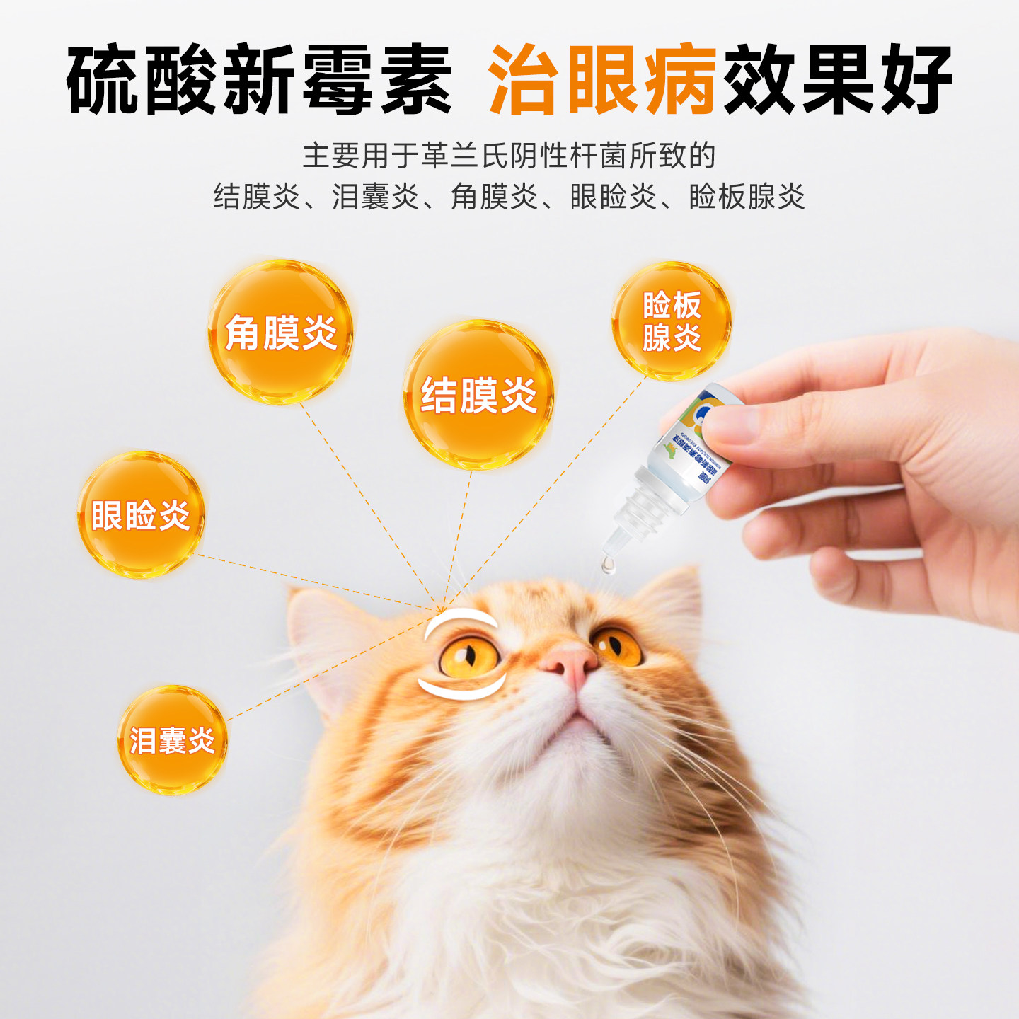 硫酸新霉素宠物滴眼液宠物狗狗猫咪眼药水发炎流泪润康滴眼液警犬