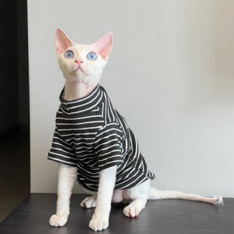 德文衣服冬天专用保暖舒适无毛猫卷毛猫幼猫过冬2024新款猫咪衣服